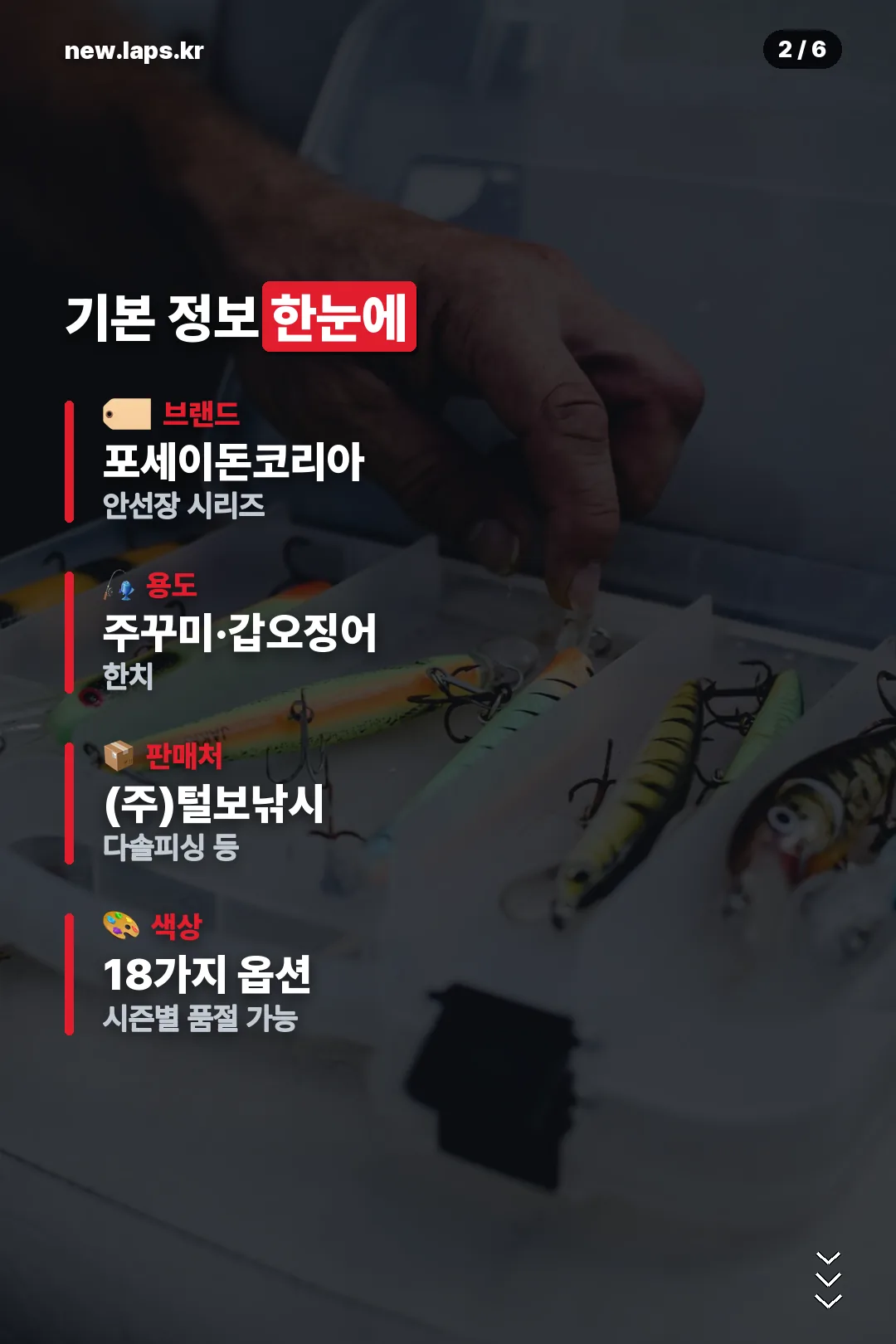 기본 정보 한눈에