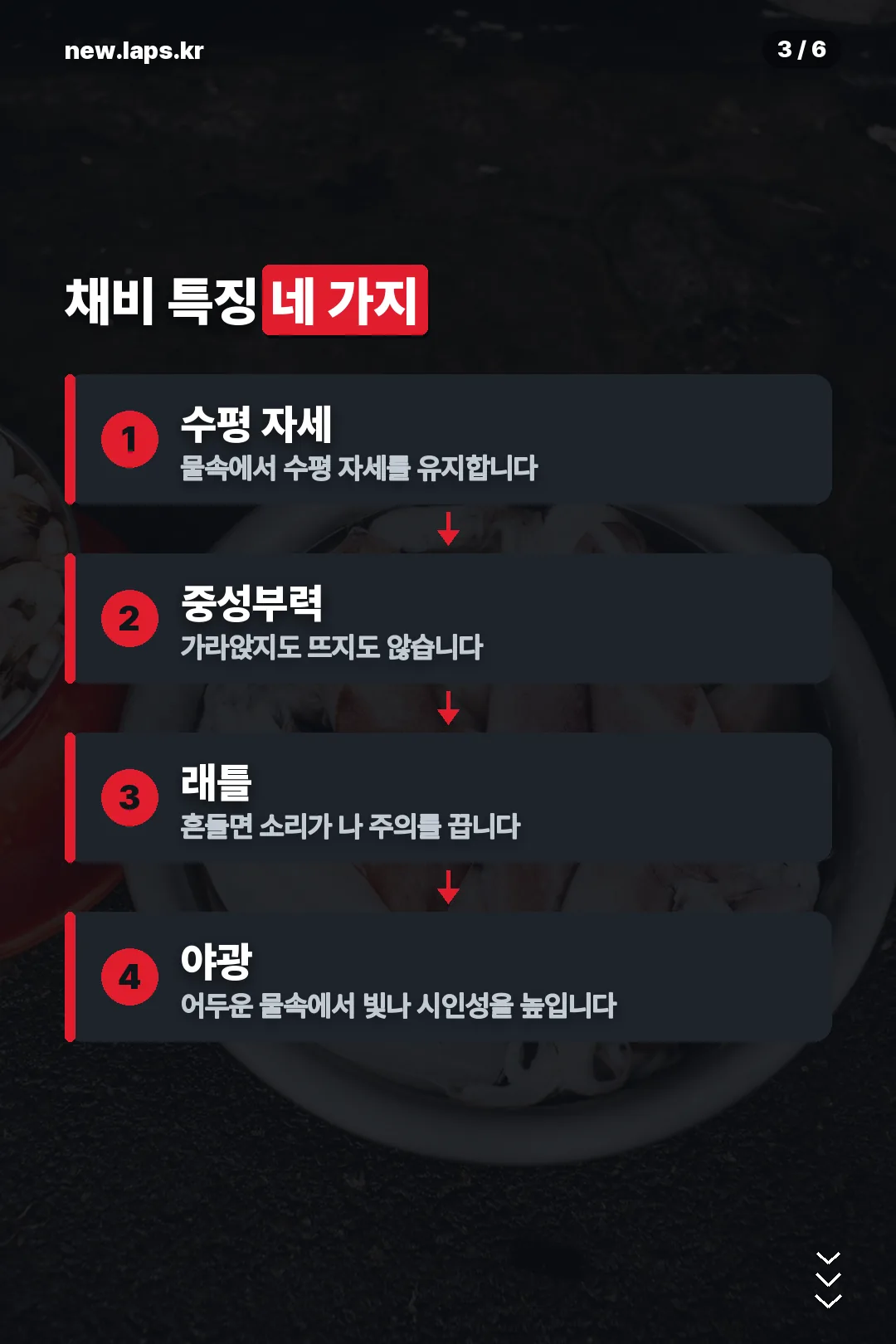 채비 특징 네 가지