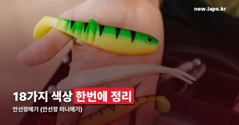 안선장에기 정리 썸네일