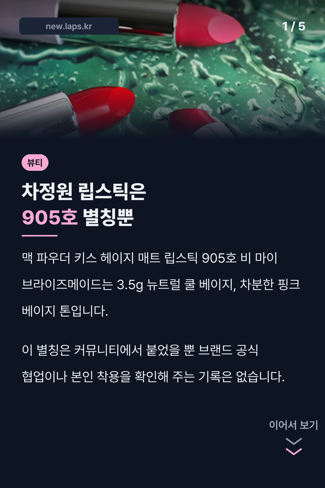 차정원 립스틱은 905호 별칭뿐