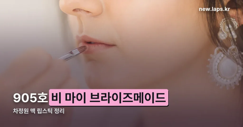 차정원 맥 립스틱 정리 썸네일