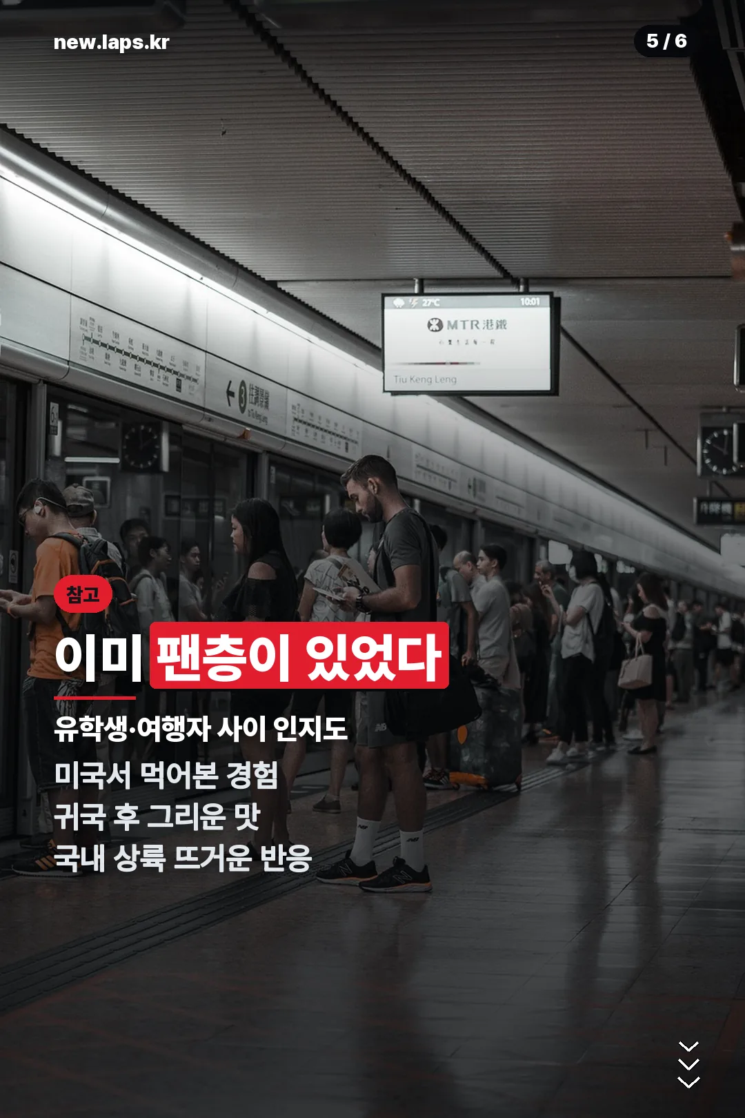 국내 팬층