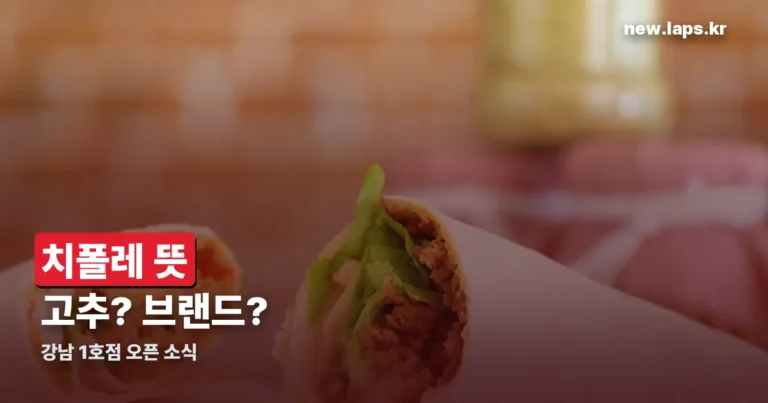 치폴레 뜻 정리 썸네일
