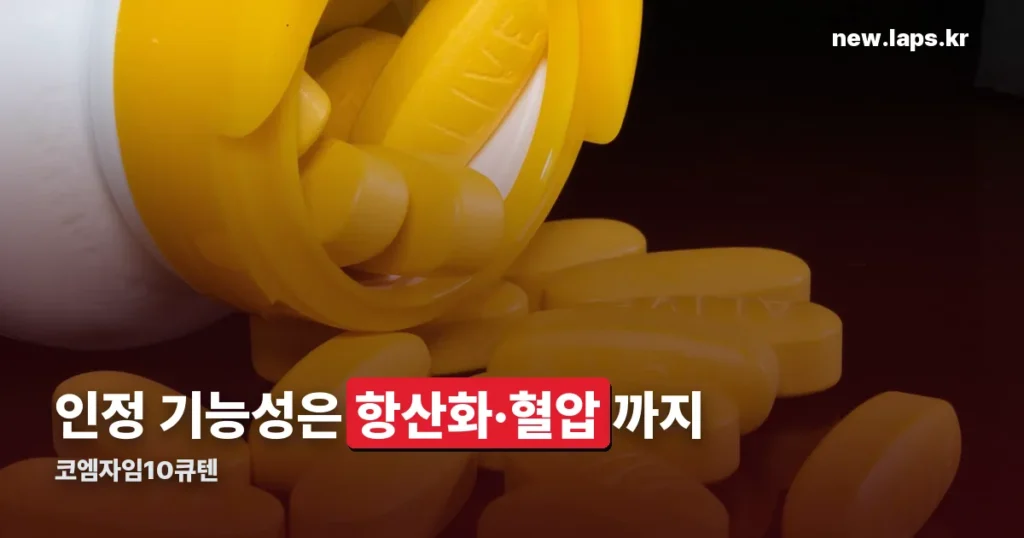 코엠자임10큐텐 정리 썸네일