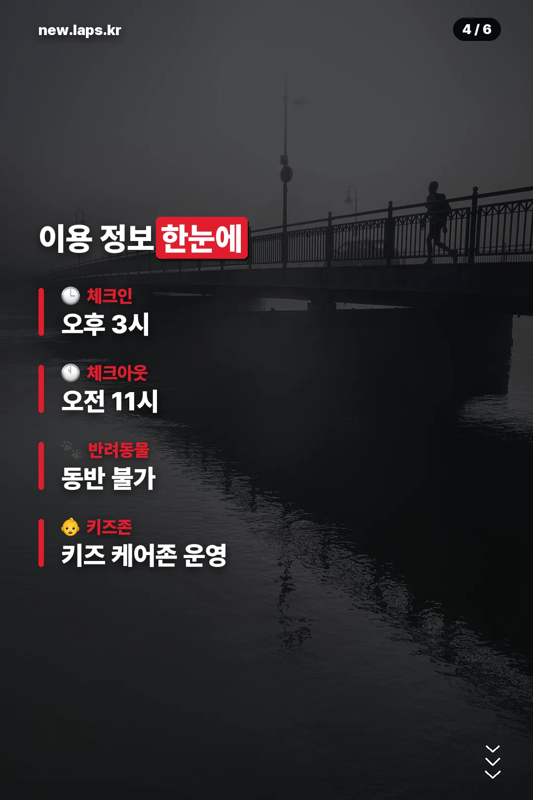 이용 정보