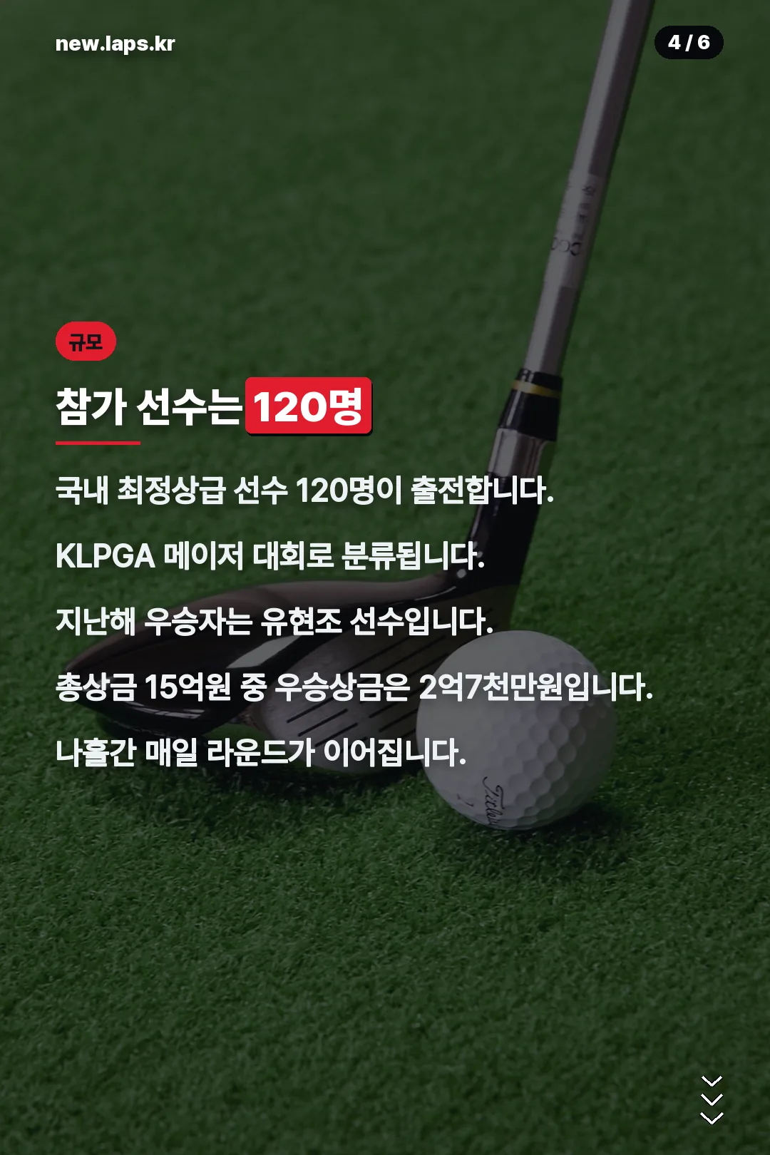 참가 선수 규모