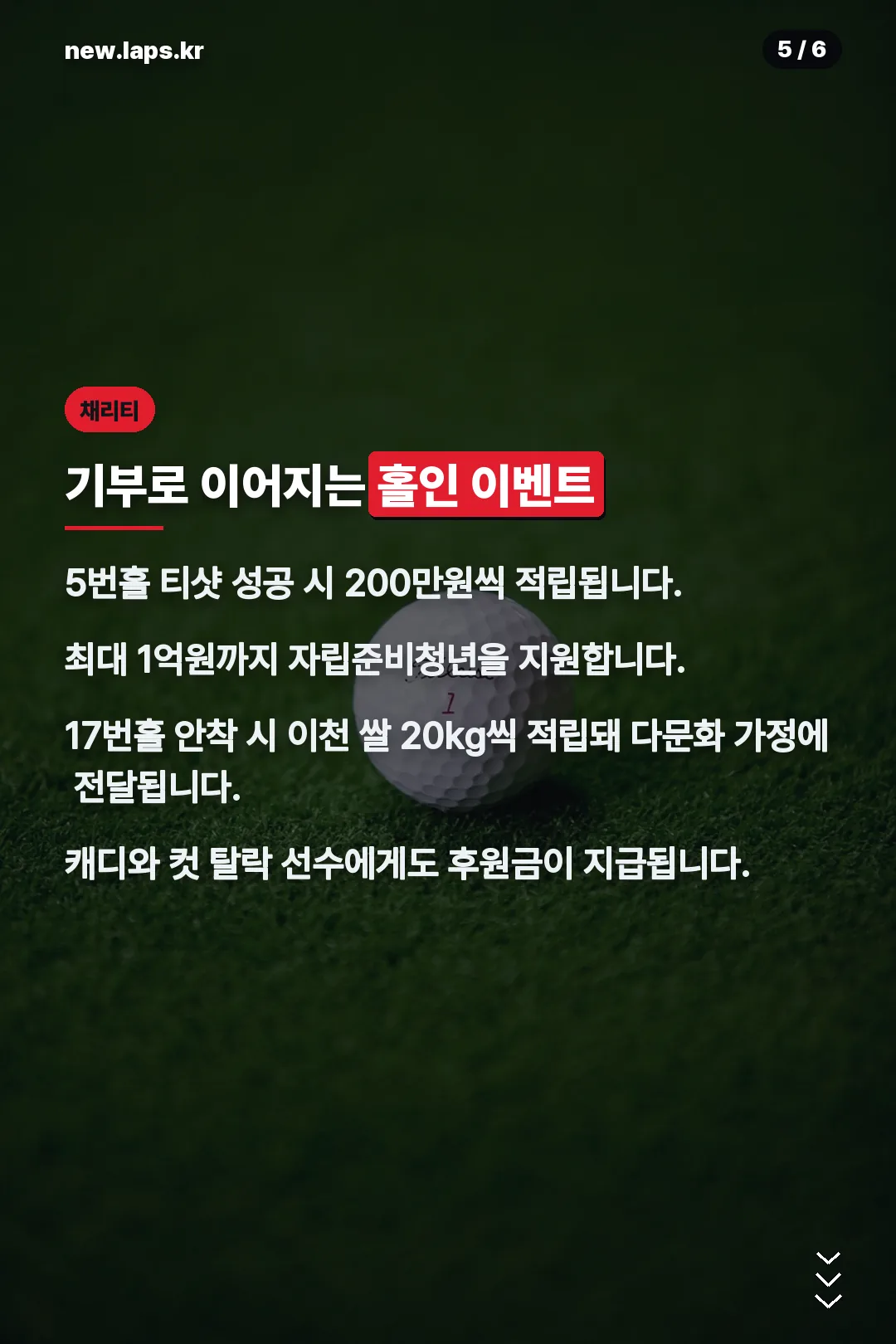 기부 이벤트 정보