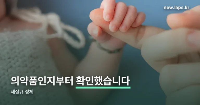 새살큐 정리 썸네일