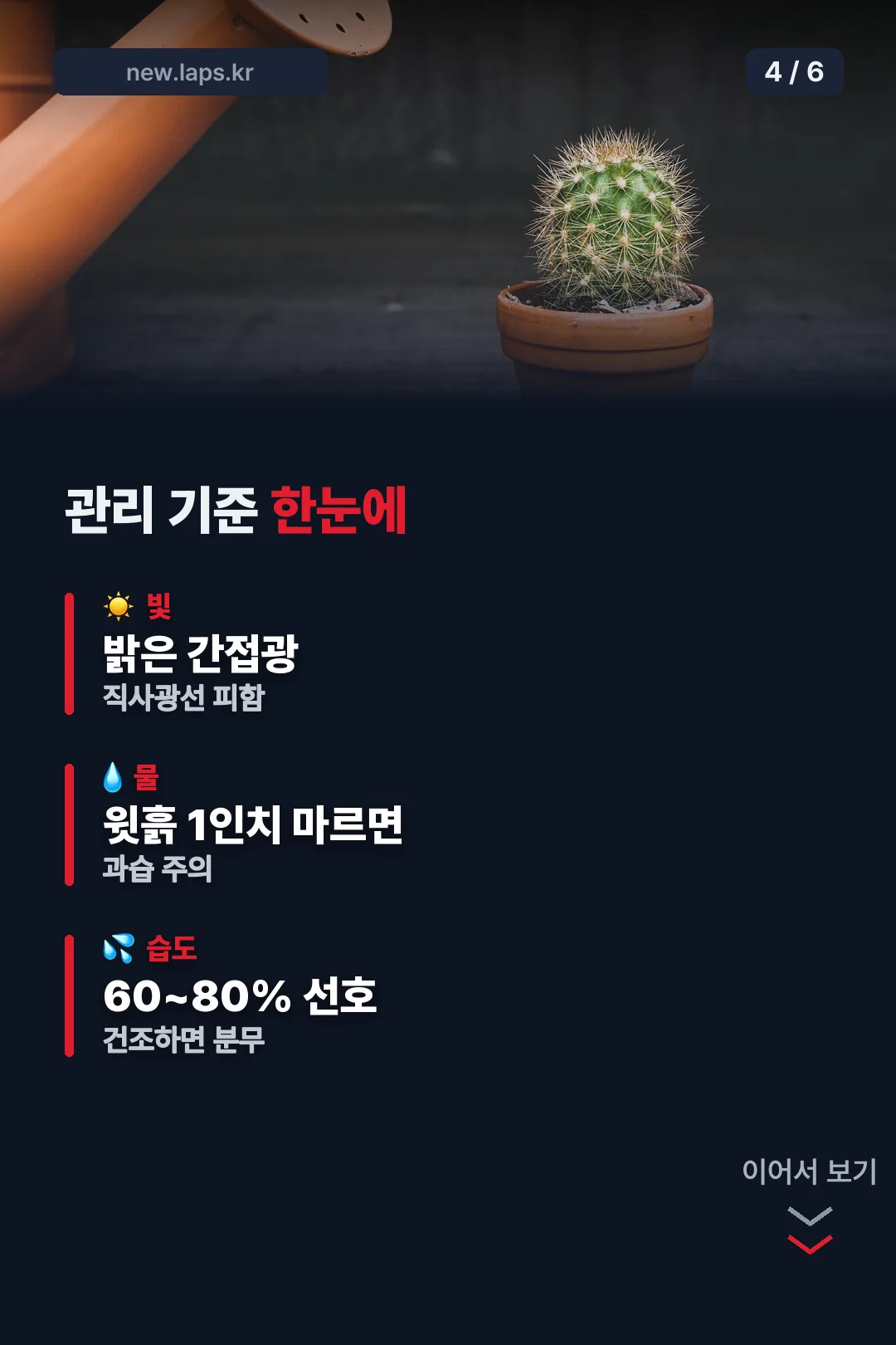 나이 들수록 가시처럼 변하는 특징
