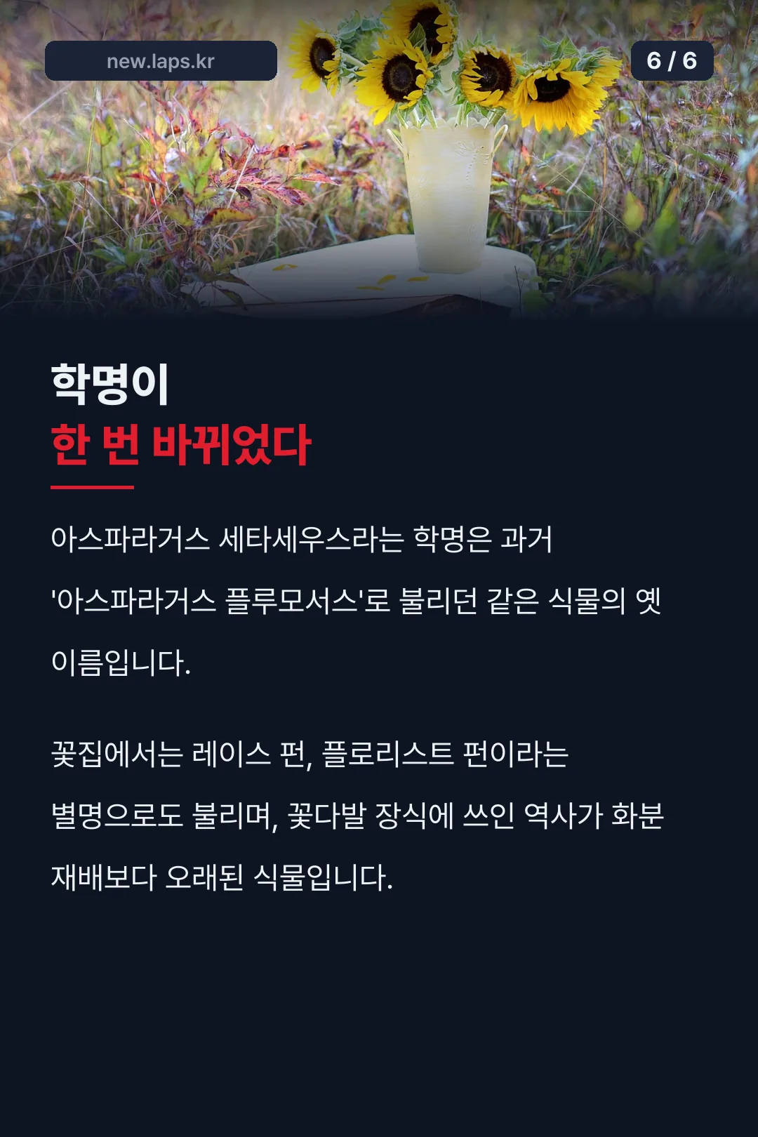 학명이 바뀐 유래